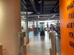 -健身专家Wellness Experts