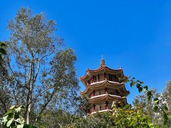 -深圳仙湖植物园