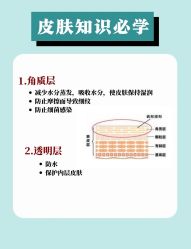 -Oasis Beauty水磨坊科技美肤中心