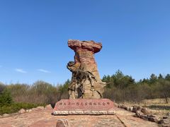 -嘉荫恐龙国家地质公园