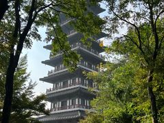-宜兴龙背山森林公园