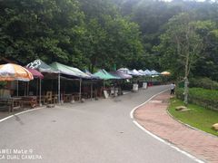 -火炉山森林公园