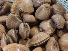 -蓝珊瑚蒸汽海鲜餐厅(龙奥店)