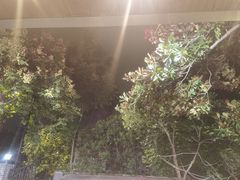 -夜猫子串吧·龙虾.江西小炒(万塘路店)