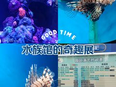 -海合安武汉极地海洋公园