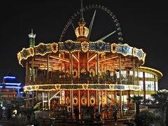 -锦江乐园舞狸花花游园会(夜场专享)
