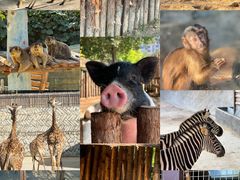 -泉州海丝野生动物世界