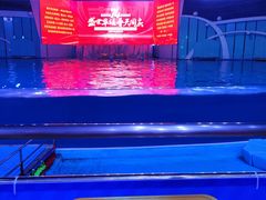 -海合安青岛极地海洋公园