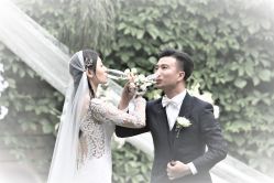 点击看大图 -醉库庄园·宴会厅·草坪婚礼场地