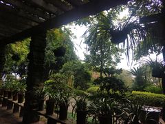-南山植物园