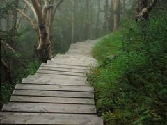 -白草畔自然风景区