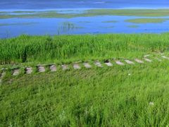 -呼兰河口湿地公园