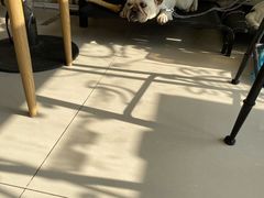-平行世界·猫咖(首经贸店)