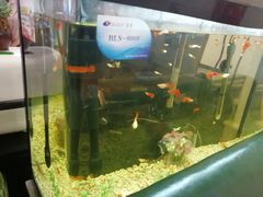 -万景饭店·鱼街农家菜