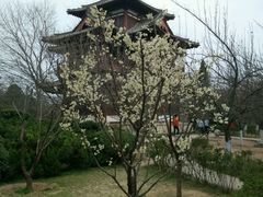 -西安青龙寺遗址景区