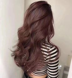 -爱维丽