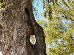 -长春市南湖公园