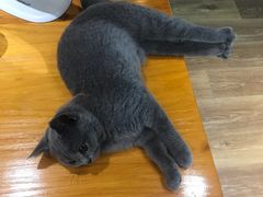 -ME觅妆·定制美妆·彩妆私教(菱角湖店)