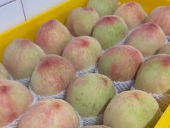 -老袁家蜜桃农场·阳山水蜜桃