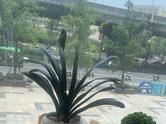 -禾匙素食自助(莱蒙都会店)