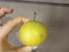 -茂隆餐厅(进贤路店)