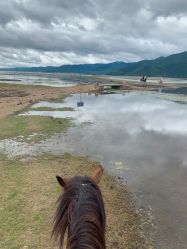-纳帕海依拉草原