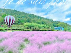 -东海半边山旅游度假区
