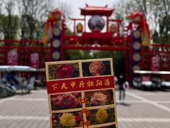 -洛阳市隋唐城遗址植物园