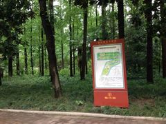 SS-上海怡沁园度假酒店