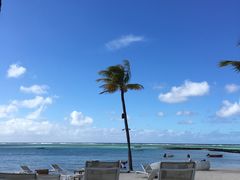 -西沃古尔·拉姆古兰爵士国际机场