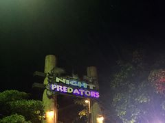 -清迈夜间动物园