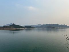 -望湖烤鱼