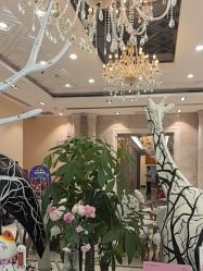 -同远QQBABY亲子摄影(北京路店)