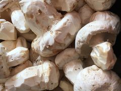 -佳缘野生菌食府