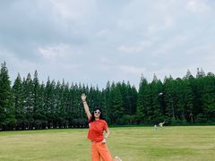 -黄海国家森林公园