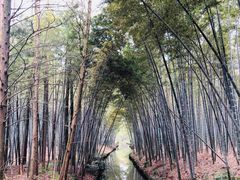 -同里国家湿地公园