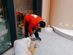 -囡的喵喵酱·萌宠生活馆·宠物洗护美容(胶州路店)