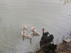 -长兴太湖图影湿地文化园