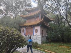 -沈阳植物园