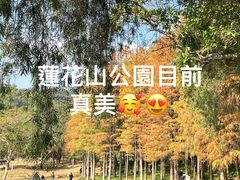 -莲花山公园