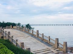 -宝安西湾红树林湿地公园