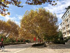 -东华大学(松江校区)