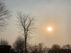 -眉山湿地公园(东坡区)