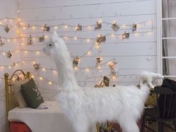 -星宝贝儿童摄影