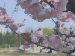 -江南大学(蠡湖校区)