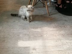 -小时光咖啡馆(北锣鼓巷店)