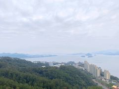 -千岛湖天屿景区