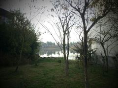 空气清新-苏州环秀晓筑养生度假村