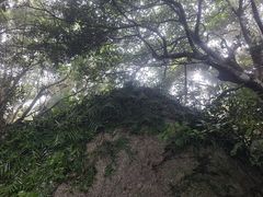 -海南铜鼓岭景区