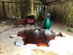 -森波拉火山温泉